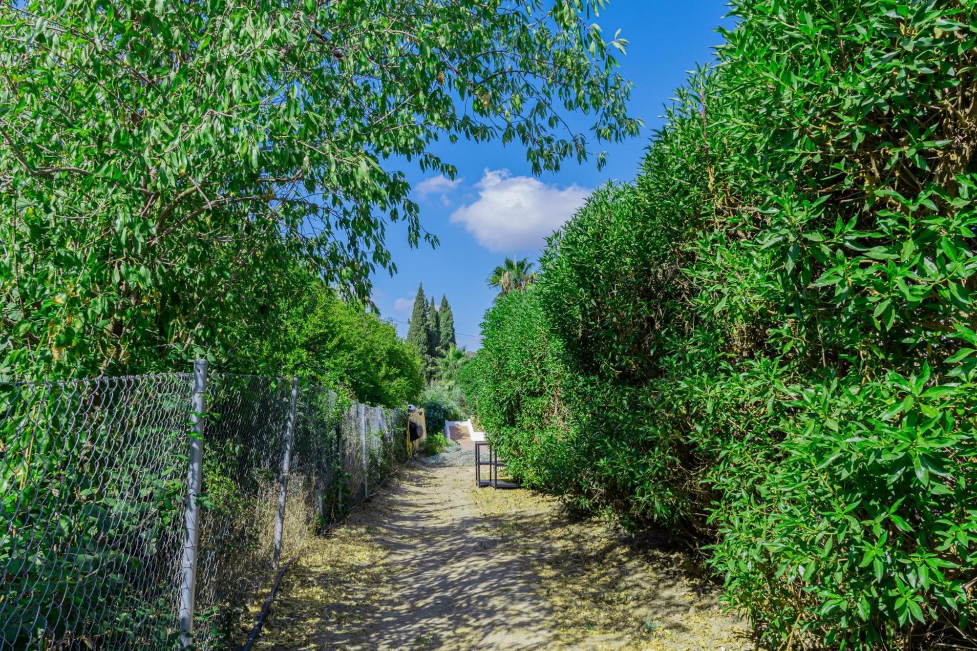 Casa De Ambar, Bed&Breakfast Алаурін-ель-Гранде Екстер'єр фото